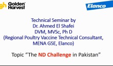 Technical Seminar by Dr. Ahmed El Shafei