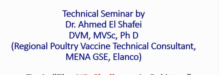 Technical Seminar by Dr. Ahmed El Shafei